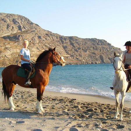 Alianthos Beach Hotel Plakias Luaran gambar