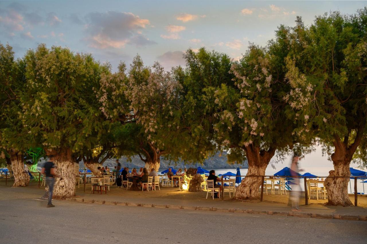 Alianthos Beach Hotel Plakias Luaran gambar