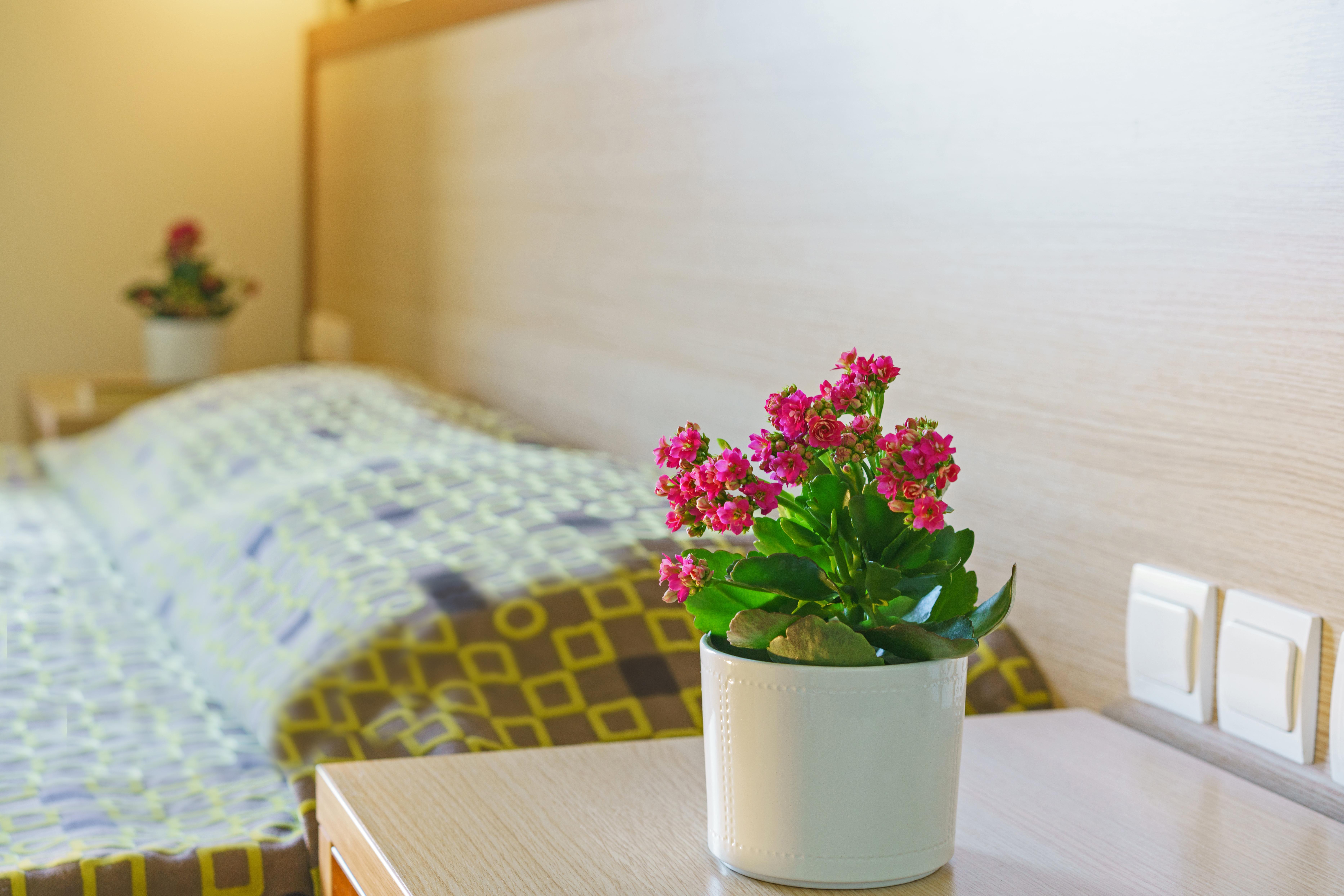 Alianthos Beach Hotel Plakias Luaran gambar