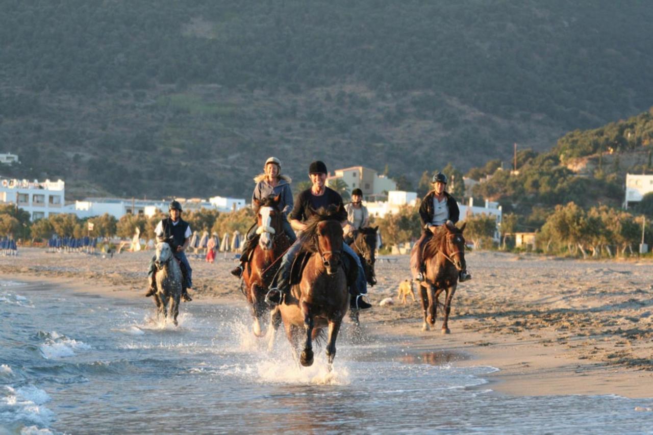 Alianthos Beach Hotel Plakias Luaran gambar